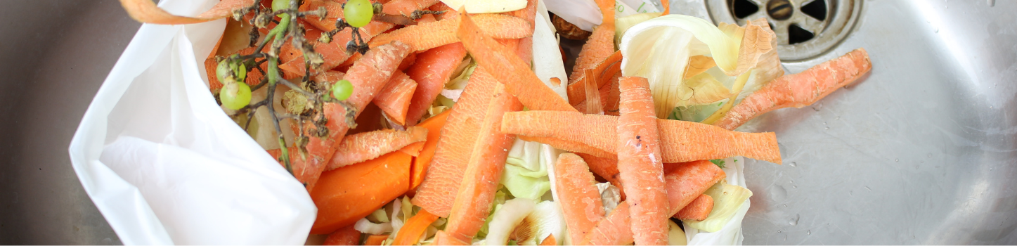 Pflegedienst und Betreuungsdienst - Alltagshilfe CuraVital-Einkaufshilfe-Startbild